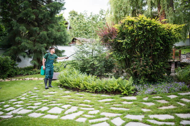 Best Local Pest Control Services  in Westmoreland, TN
