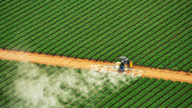 Best Pest Control for Homes  in Westmoreland, TN