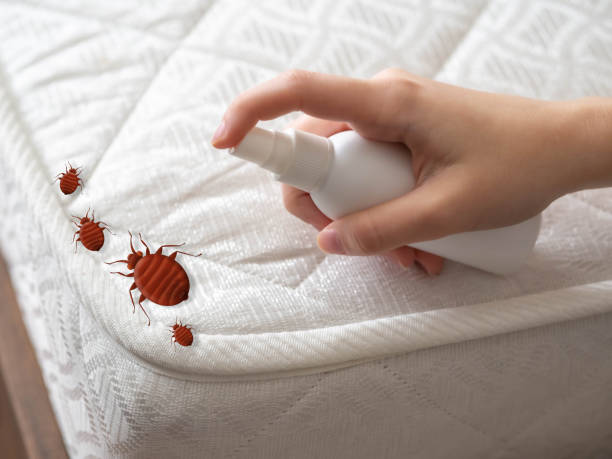 Best Affordable Pest Control Services  in Westmoreland, TN