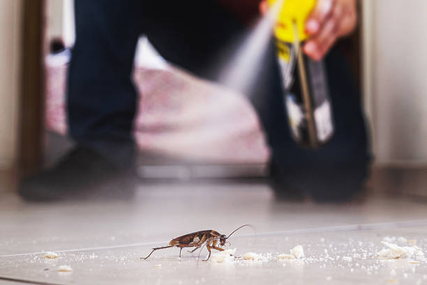 Best Cockroach Control Services  in Westmoreland, TN