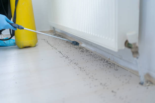 Best Pest Removal Services  in Westmoreland, TN